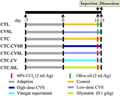 Hepatoprotective Effect of Cereal Vinegar Sediment in Acute Liver Injury Mice and Its Influence on Gut Microbiota